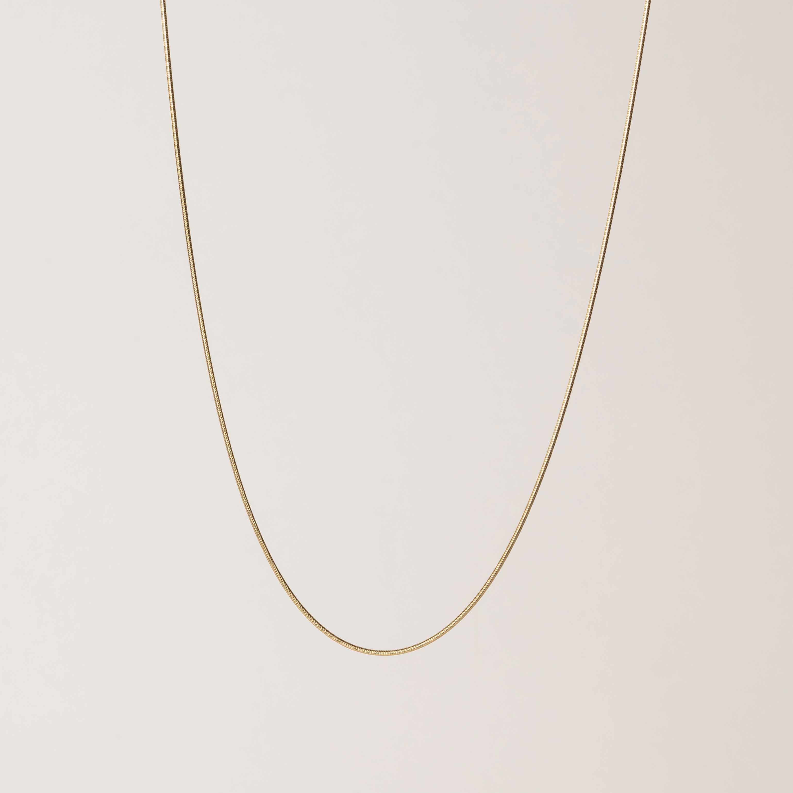 Snake Chain Necklace